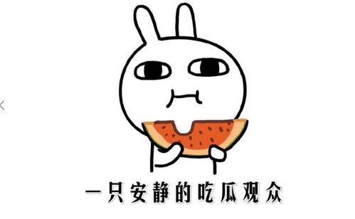 吃瓜群众另一种说法