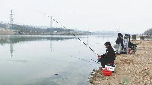 娱乐吃瓜钓鱼视频下载安装,娱乐吃瓜钓鱼视频，轻松安装体验新乐趣